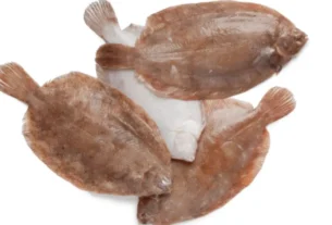 Tudo Sobre o Peixe Linguado