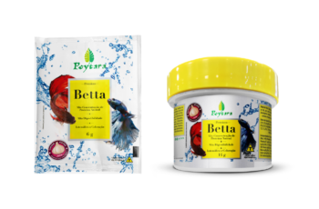 Qual a melhor ração para peixe betta