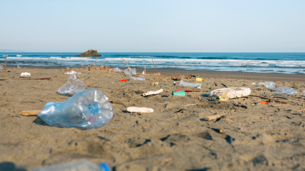 Poluição e contaminação dos oceanos