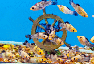 doenças comuns em peixes ornamentais