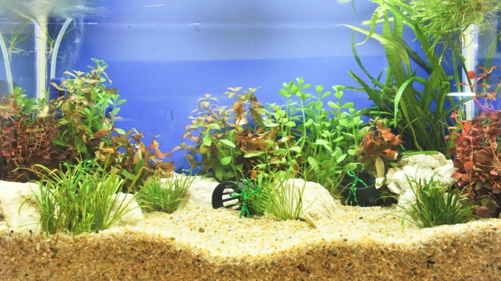 Como Manter Um Ambiente Estável Nos Primeiros Dias