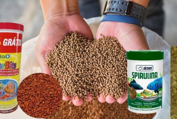 melhor ração para peixes de aquário tropicais