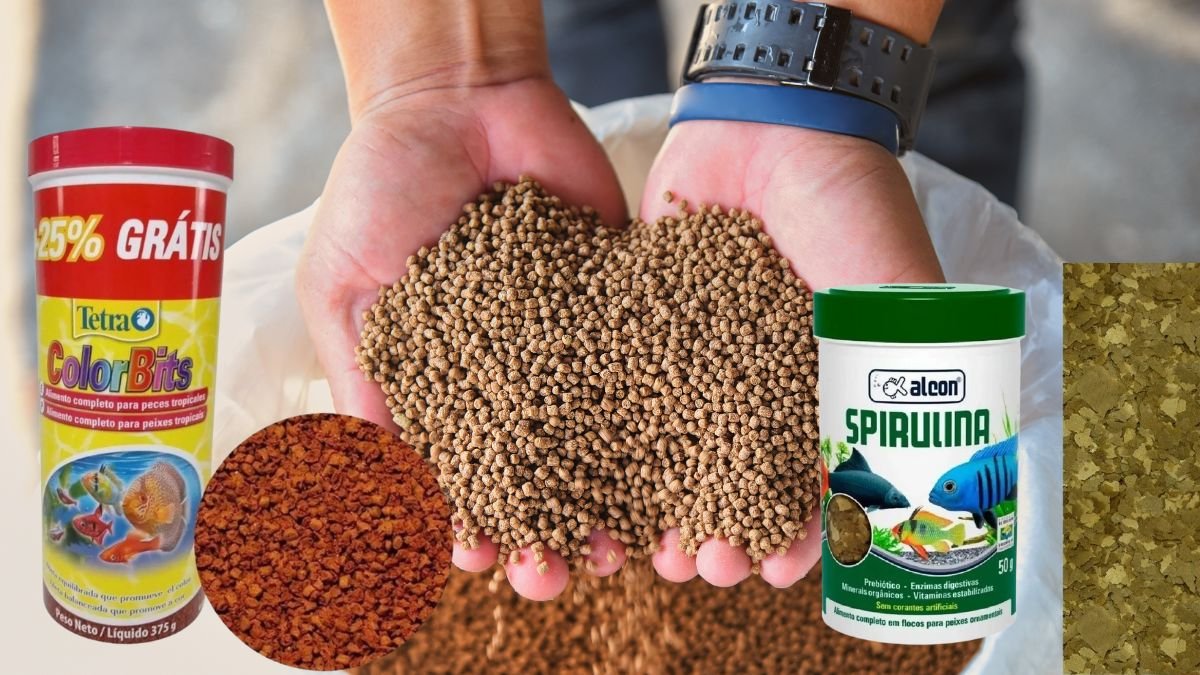 melhor ração para peixes de aquário tropicais