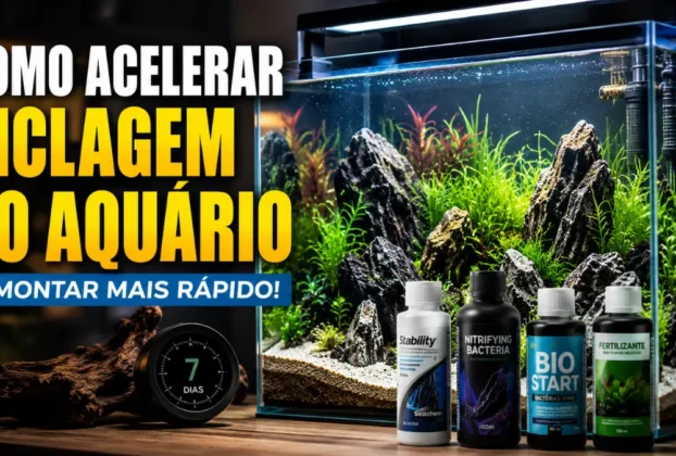 Como Acelerar Ciclagem do Aquário e Montar Mais Rápido