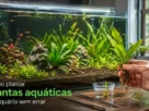 Como plantar plantas aquáticas no aquário sem errar