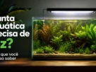 Planta aquática precisa de luz