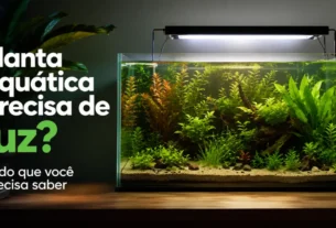 Planta aquática precisa de luz