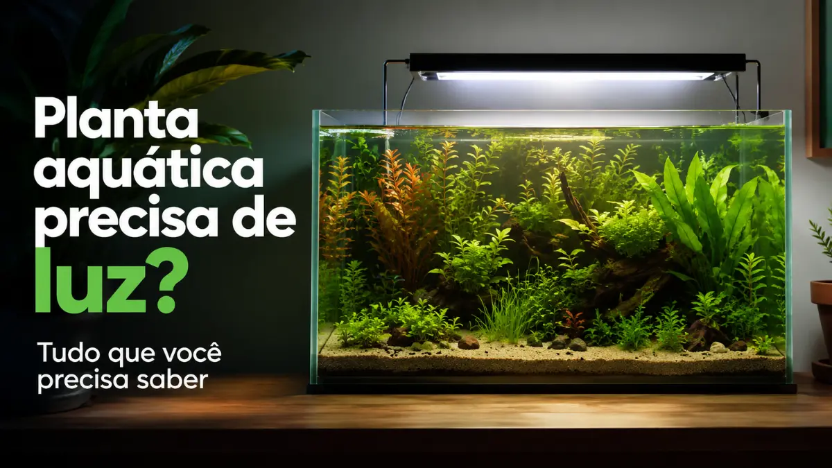 Planta aquática precisa de luz