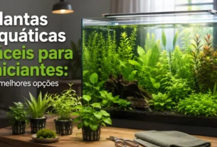 Plantas aquáticas fáceis para iniciantes