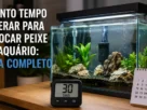 Quanto tempo esperar para colocar peixe no aquário