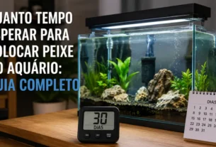 Quanto tempo esperar para colocar peixe no aquário