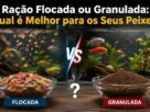 Ração Flocada ou Granulada Qual é Melhor para os Seus Peixes