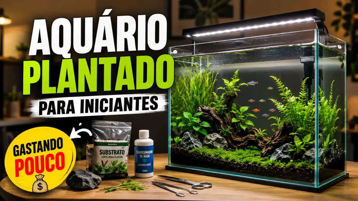 Aquário plantado para iniciantes: como começar gastando pouco 1 Aquário plantado para iniciantes