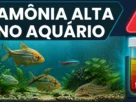 Amônia Alta no Aquário