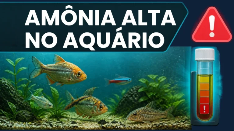 Amônia Alta no Aquário